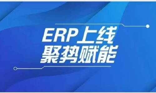 ERP上線，浙江德匯開啟數(shù)字化轉(zhuǎn)型新篇章